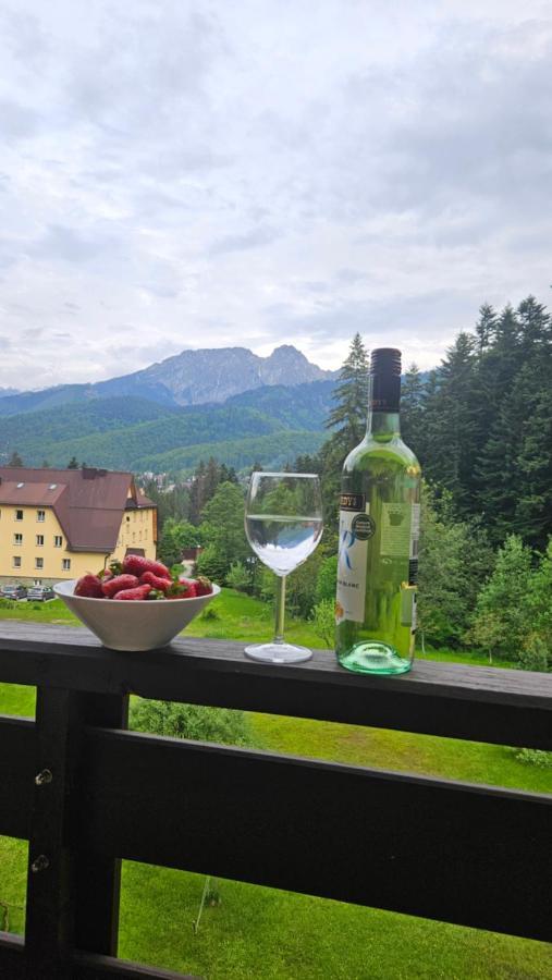 Apartament Klasyczny Z Widokiem Na Giewont Kościelisko Extérieur photo